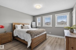 Bedroom featuring light gray walls, wood-finish flooring, and multiple windows with white trim - 