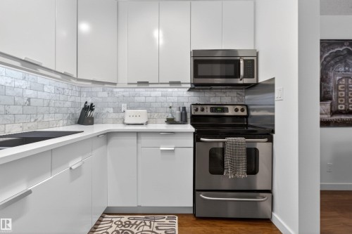 305 10026 112 Street, Edmonton, AB - Indoor Photo Showing Kitchen With Upgraded Kitchen