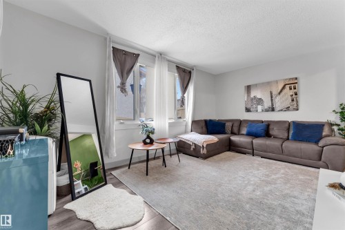 Living area featuring light gray walls, wood-finish flooring, multiple windows, a textured ceiling, and a large area rug - 7 14115 82 Street, Edmonton, AB - Indoor Photo Showing Living Room