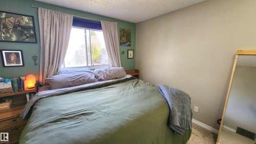 Window-equipped room featuring carpet flooring and two-tone wall paint - 3531 46 Street, Edmonton, AB - Indoor Photo Showing Bedroom