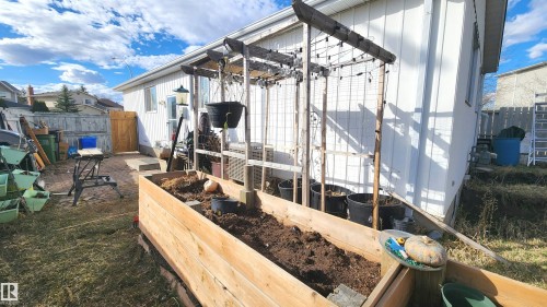 Expansive raised garden bed with a wooden trellis structure and string lighting - 3531 46 Street, Edmonton, AB - Outdoor