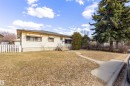 Single-story residence featuring light-colored siding, a dark shingle roof, and a mature evergreen tree - 9007 149 Street, Edmonton, AB  - Outdoor 