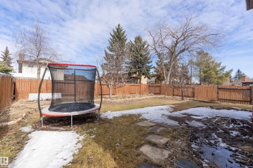 The property features a fenced yard with a combination of grass and natural ground cover - 11020 158 Avenue, Edmonton, AB - Outdoor