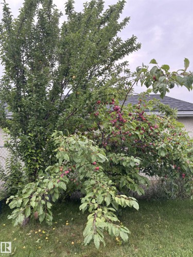 4123 136 Avenue, Edmonton, AB - Outdoor