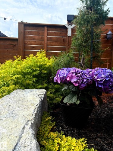 10 Redwing Wynd, St. Albert, AB - Outdoor