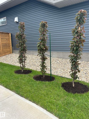 10 Redwing Wynd, St. Albert, AB - Outdoor