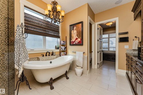 3048 Watson Landing, Edmonton, AB - Indoor Photo Showing Bathroom