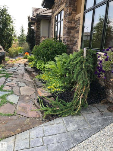 Stone veneer exterior with dark-trimmed windows - 3048 Watson Landing, Edmonton, AB - Outdoor