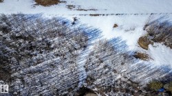 115 57415 Range Road 101  Rural St. Paul County, AB T0A 3A1