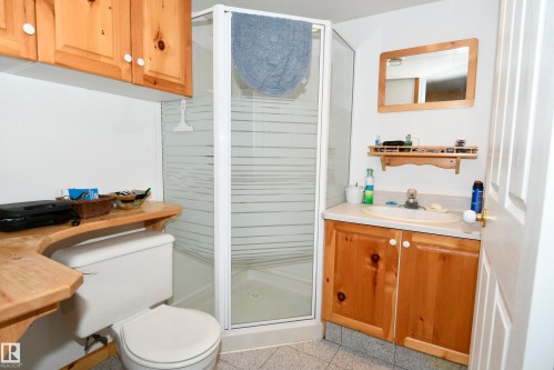 49074 Rge Rd 241, Rural Leduc County, AB - Indoor Photo Showing Bathroom