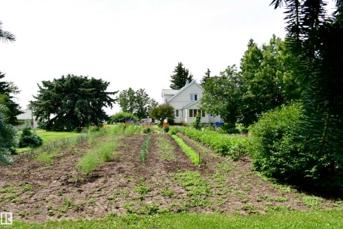 49074 Rge Rd 241, Rural Leduc County, AB - Outdoor