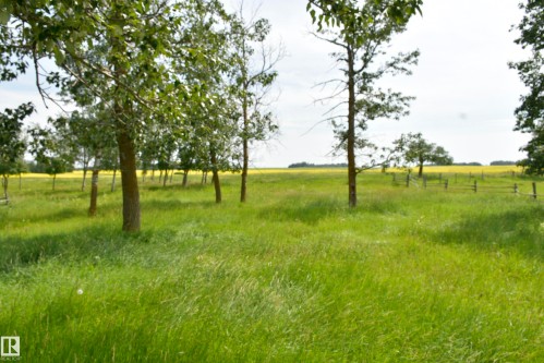 49074 Rge Rd 241, Rural Leduc County, AB - Outdoor With View