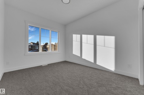 Bright room featuring a large triple-pane window, neutral carpet, white baseboards, and a flush-mount ceiling light - 247 Linden Loop, Leduc, AB - Indoor Photo Showing Other Room