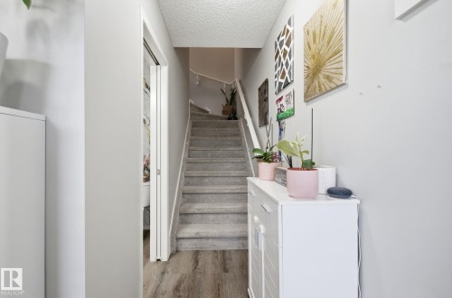 Inviting entry area with light grey walls, carpeted stairs, and wood-style flooring - 4636 175 Ave, Edmonton, AB - Indoor Photo Showing Other Room