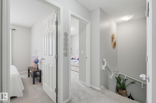 The property features light gray walls and plush gray carpeting throughout the hallway, leading to a visible bed in one room and a partial view of another bed in a separate room - 4636 175 Ave, Edmonton, AB - Indoor Photo Showing Other Room