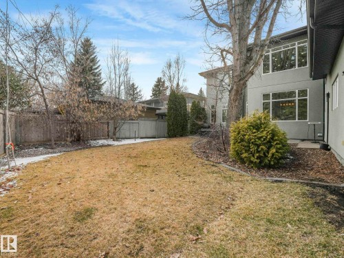 Expansive backyard area featuring an established tree, low-maintenance landscaping, and a fenced perimeter - 8927 120 Street, Edmonton, AB - Outdoor