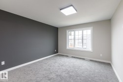 Neutral toned room featuring a single accent wall, carpet flooring, a rectangular window, and a flush-mount ceiling light - 