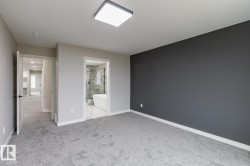 Carpeted room with a dark accent wall and light gray walls - 