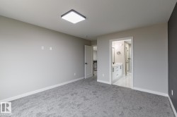 Spacious room featuring gray carpeting, light gray wall finishes, and a dark accent wall - 