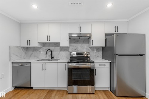 12033 54 Street, Edmonton, AB - Indoor Photo Showing Kitchen With Stainless Steel Kitchen
