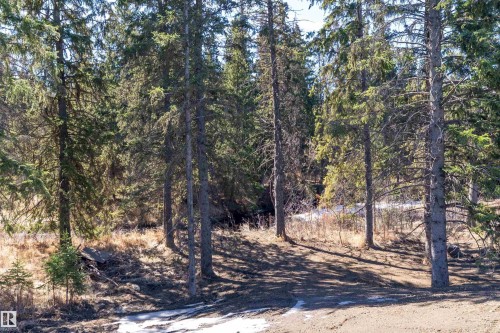 131 Bela Drive, Millet, AB - Outdoor With View