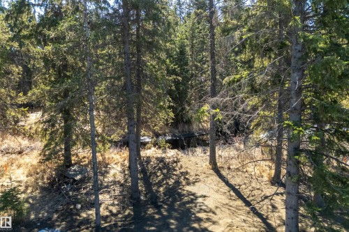 131 Bela Drive, Millet, AB - Outdoor With View