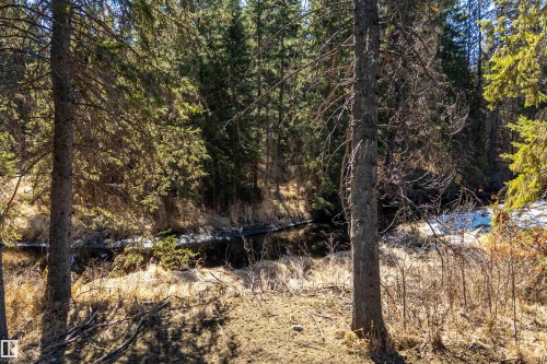 131 Bela Drive, Millet, AB - Outdoor With View