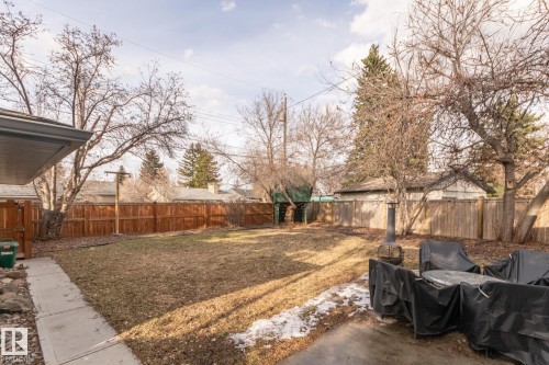 The property features a fenced yard with a lawn area and mature trees - 7408 92 Avenue, Edmonton, AB - Outdoor