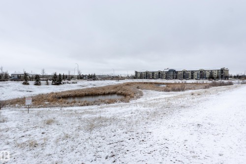16522 56 Street, Edmonton, AB - Outdoor With View