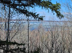 View of Vincent Lake - 