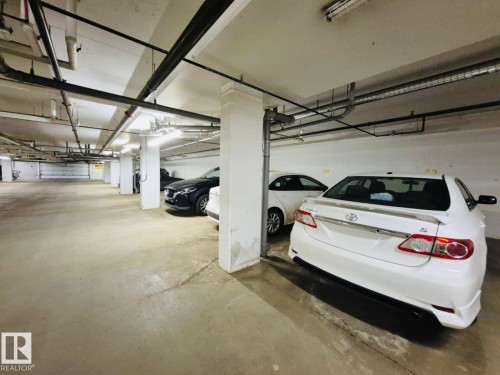 303 812 Welsh Drive, Edmonton, AB - Indoor Photo Showing Garage