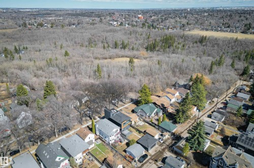Aerial perspective showcasing a residential neighborhood bordering a large natural treed area - 9741 90 Avenue, Edmonton, AB - Outdoor With View