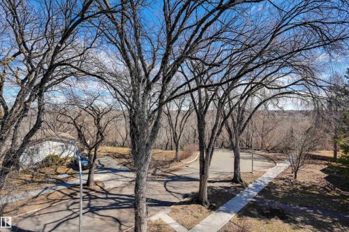 Mature trees framing a paved driveway and concrete sidewalk - 9741 90 Avenue, Edmonton, AB - Outdoor With View