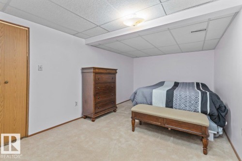 Carpeted room featuring a drop ceiling, flush-mount lighting, and light-toned walls - 219 Knottwood Road N, Edmonton, AB - Indoor Photo Showing Other Room