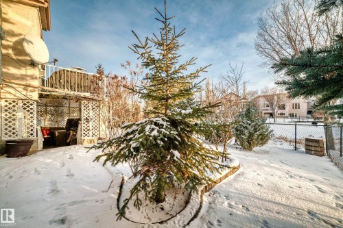 View of snowy yard - 1605 Haswell Court, Edmonton, AB - Outdoor