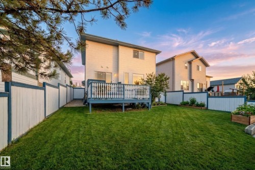 Back of house at dusk featuring a wooden deck and a fenced backyard - 4008 37 Avenue, Edmonton, AB - Outdoor
