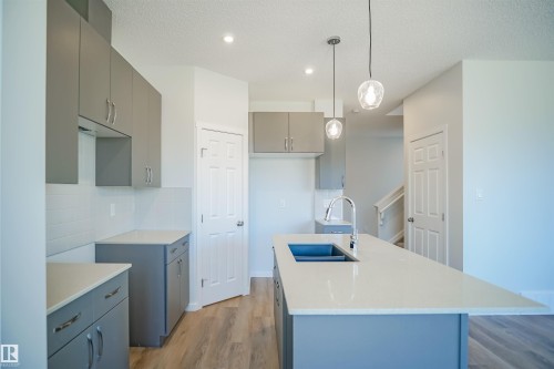 938 18 Avenue, Edmonton, AB - Indoor Photo Showing Kitchen With Double Sink With Upgraded Kitchen