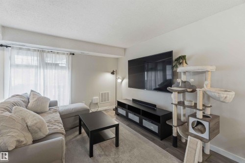 Living area featuring wood-finish flooring, light-toned walls, and large windows with sheer white curtains - 5740 172 Street, Edmonton, AB - Indoor Photo Showing Living Room