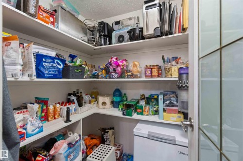 Walk-in pantry featuring white shelving, a built-in chest freezer, and a frosted glass door with grid detailing - 5740 172 Street, Edmonton, AB - Indoor With Storage
