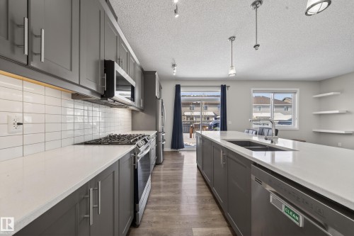 1234 Daniels Crescent, Edmonton, AB - Indoor Photo Showing Kitchen With Double Sink With Upgraded Kitchen