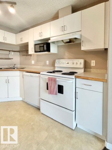 413 11325 83 Street, Edmonton, AB - Indoor Photo Showing Kitchen With Double Sink