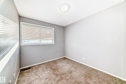 This room features a window with blinds, light gray walls, and textured carpeting - 