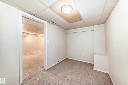 This room features carpeted flooring and an overhead light fixture - 8217 182 Street Nw, Edmonton, AB - Indoor Photo Showing Other Room