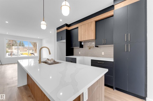 7934 77 Avenue, Edmonton, AB - Indoor Photo Showing Kitchen With Double Sink With Upgraded Kitchen