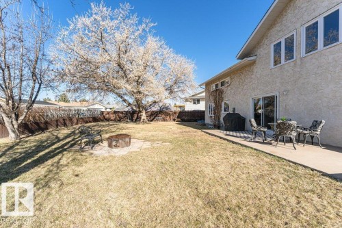 Expansive backyard featuring a mature, blooming tree and a wood privacy fence - 1727 65 Street, Edmonton, AB - Outdoor