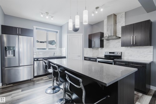 22603 98 Avenue, Edmonton, AB - Indoor Photo Showing Kitchen With Stainless Steel Kitchen With Upgraded Kitchen