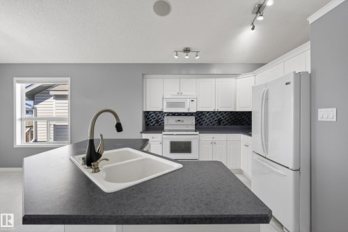 720 87 Street, Edmonton, AB - Indoor Photo Showing Kitchen With Double Sink