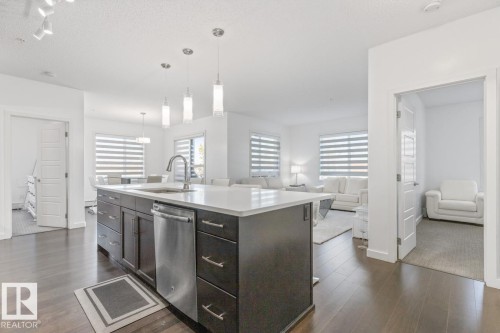 122 320 Ambleside Link Link, Edmonton, AB - Indoor Photo Showing Kitchen With Upgraded Kitchen
