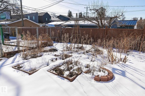 The property features a fenced yard with raised garden beds and a wooden privacy fence - 10823 130 Street, Edmonton, AB - Outdoor