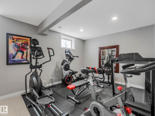 67 Leonard Drive, St. Albert, AB - Indoor Photo Showing Gym Room